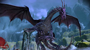 Fonds d'écran Dragon Age jeu vidéo