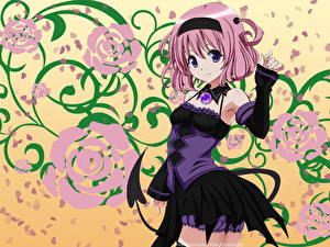 Picture To-Love-Ru