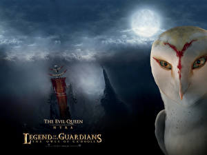 Images Legend of the Guardians: The Owls of Ga’Hoole