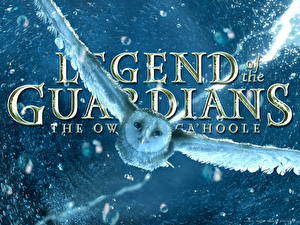 Pictures Legend of the Guardians: The Owls of Ga’Hoole