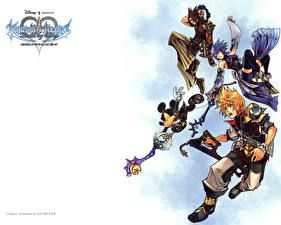 Bakgrundsbilder på skrivbordet Kingdom Hearts spel