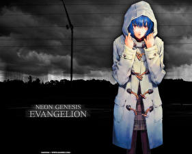 Tapety na pulpit Neon Genesis Evangelion Anime