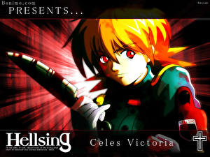 Pictures Hellsing