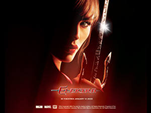 Tapety na pulpit Elektra (film 2005)