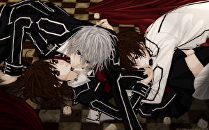 Desktop hintergrundbilder Vampire Knight Anime