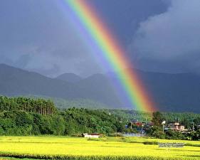 Hintergrundbilder Regenbogen Natur