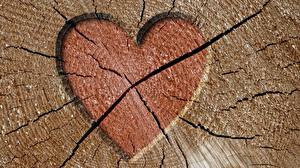 Images Heart Tree stump
