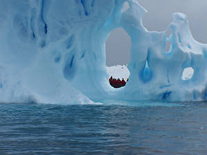 Image Icebergs Nature