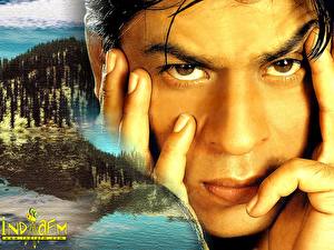 Fonds d'écran Indian Shahrukh Khan Célébrités