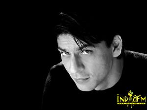 Sfondi desktop Indiane Shahrukh Khan