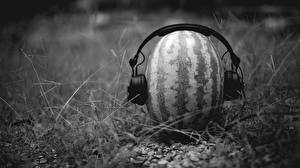 Fotos Kreativ Wassermelonen Kopfhörer
