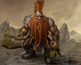 Bakgrundsbilder på skrivbordet Warhammer Online: Age of Reckoning Gnom spel