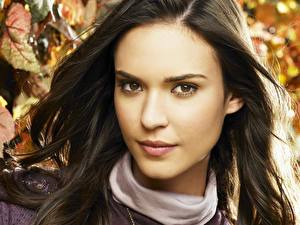 Image Odette annable