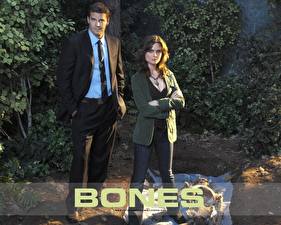 Hintergrundbilder Bones – Die Knochenjägerin