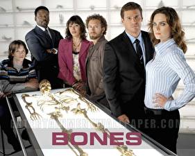 Bureaubladachtergronden Bones (televisieserie)