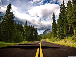 Pictures Roads Asphalt Nature