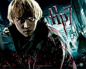 Bakgrundsbilder på skrivbordet Harry Potter (film) Harry Potter och dödsrelikerna Rupert Grint Filmer
