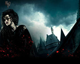 Picture Harry Potter Harry Potter and the Deathly Hallows