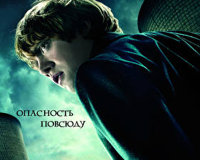 Hintergrundbilder Harry Potter Harry Potter und die Heiligtümer des Todes Rupert Grint