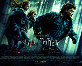 Fonds d'écran Harry Potter Harry Potter et les Reliques de la Mort Daniel Radcliffe Emma Watson Rupert Grint Cinéma