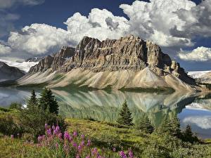 Bakgrunnsbilder Parker Canada Banff Natur