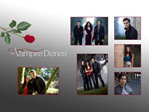 Bakgrundsbilder på skrivbordet The Vampire Diaries