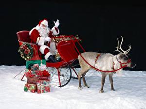 Pictures Holidays Christmas Santa Claus Sled