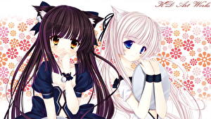 Bakgrundsbilder på skrivbordet Catgirl Anime