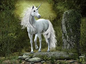 Sfondi desktop Animali magici Unicorni Fantasy