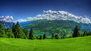 Desktop hintergrundbilder Landschaftsfotografie Grünland Natur