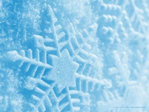 Sfondi desktop Stagione Inverno Fiocco di neve Natura