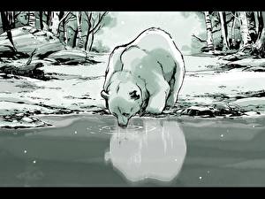 Fondos de escritorio Un oso Oso polar