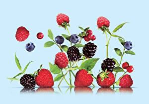 Desktop hintergrundbilder Obst Beere Himbeeren Erdbeeren Brombeeren Lebensmittel
