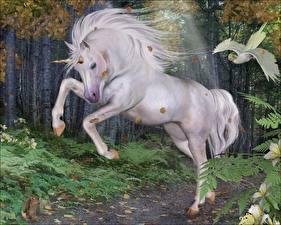 Sfondi desktop Animali magici Unicorno Fantasy