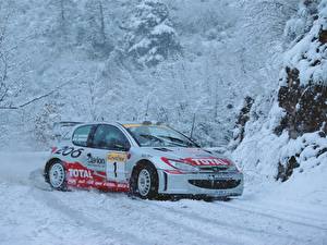 Bakgrundsbilder på skrivbordet Peugeot Peugeot 206 WRC Bilar