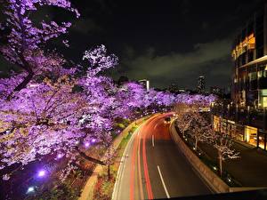 Tapety na pulpit Japonia Tokio Droga Miasta