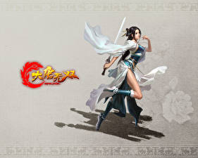 Bakgrundsbilder på skrivbordet Dynasty Warriors spel