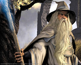 Bilder The Lord of the Rings - Games Spiele
