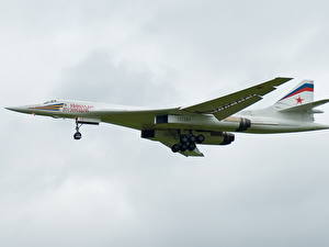 デスクトップの壁紙、、飛行機、Tu-160 (航空機)、飛翔、航空