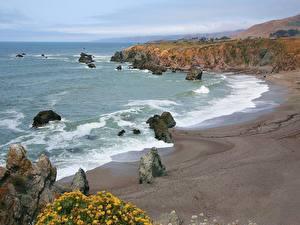 デスクトップの壁紙、、海岸、入り江、Bodega Bay, California、自然