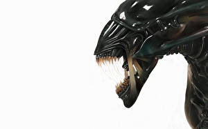 Bakgrundsbilder på skrivbordet Alien film