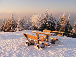 Pictures Seasons Winter Bench Table Nature