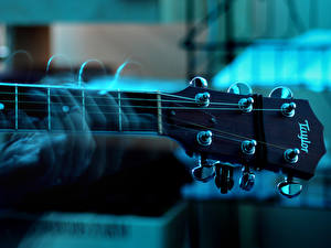 Photo Creative Musical Instruments Guitar