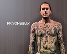 Bakgrundsbilder på skrivbordet Prison Break Wentworth Miller film