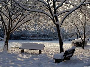 桌面壁纸，，季节，冬季，长凳，大自然