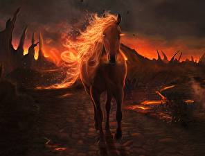 Papel de Parede Desktop Mágicos animais Cavalos Fantasia