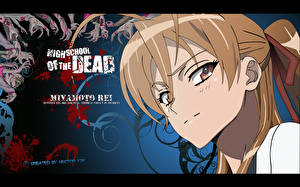 Sfondi desktop Gakuen Mokushiroku: High School of the Dead