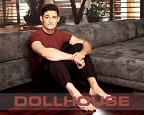 Pictures Dollhouse
