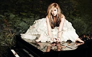 Картинка Avril Lavigne