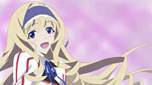 Picture IS: Infinite Stratos Anime